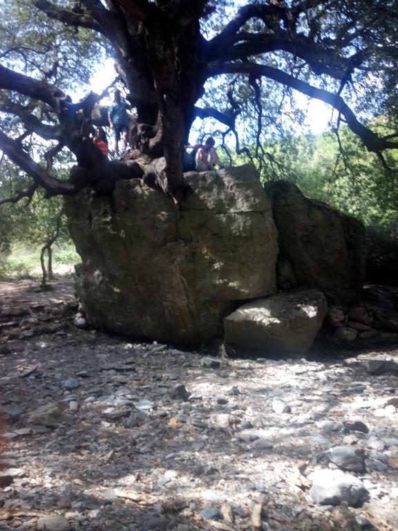 Naramanue Villa Dorgali Luaran gambar